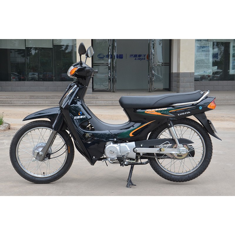 110cc motorcycle LJ110-9