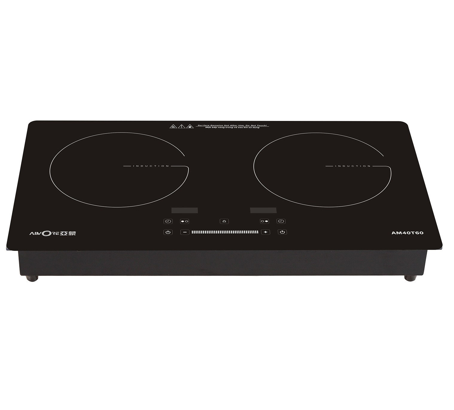 Double plate induction cooker 