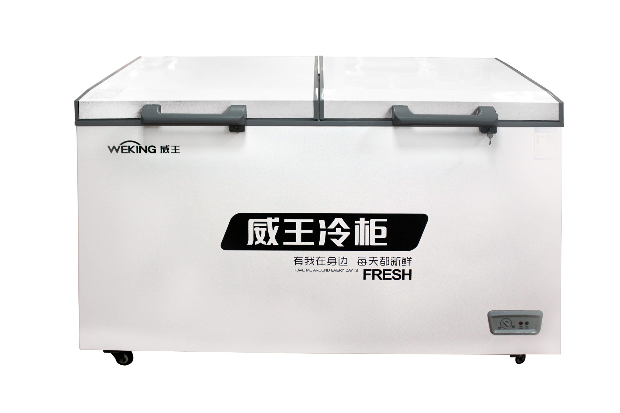 Chest Freezer BCD-388