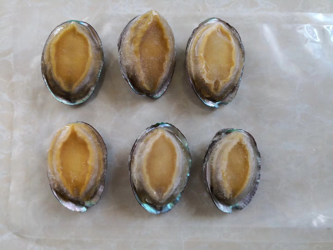 Abalone 