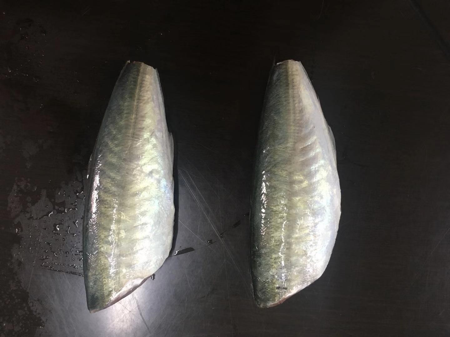 HGT MACKEREL