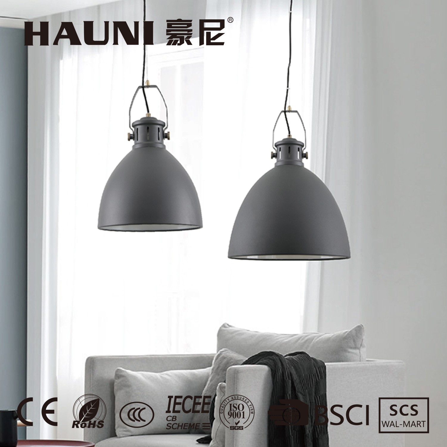 Pendant Lamp lighting