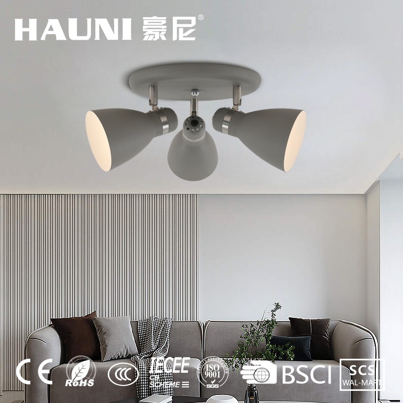 Modern Living Room Bedroom Dining Pendant Lamp Ceiling Light