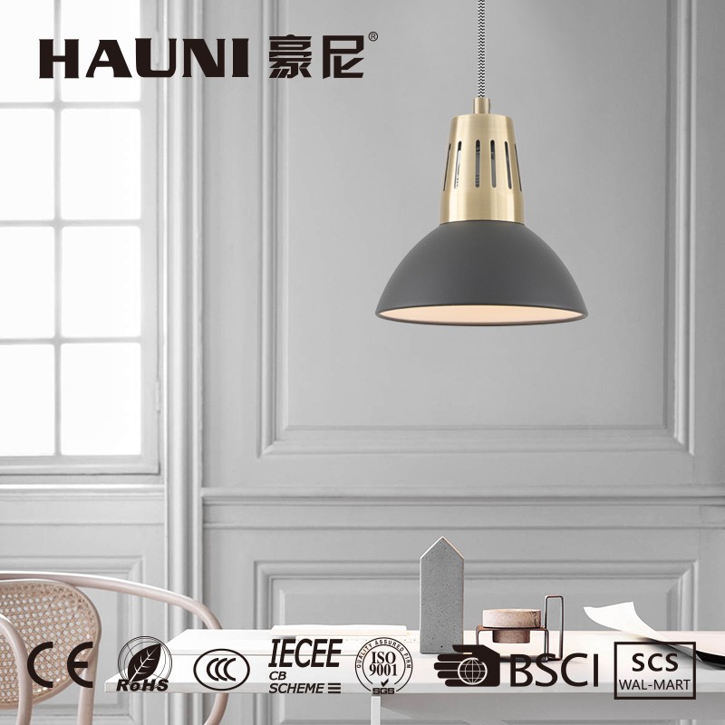 Metal Lighting Light Nordic Hanging Ceiling Lamp Small Pendant Lamp