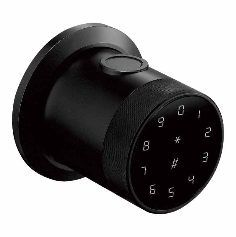 Smart Lock,Lock,WiFi APP GeneralCylindrical Latch Grip ,Smart Door Lock